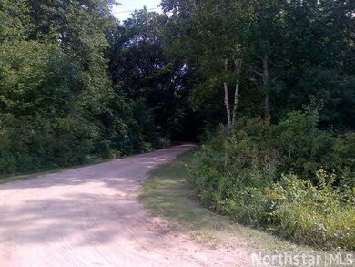 29057 250th St, Long Prairie, MN 56347 - photo 7