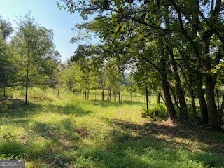 432 Mulberry Rd, Winder, GA 30680 - photo 3