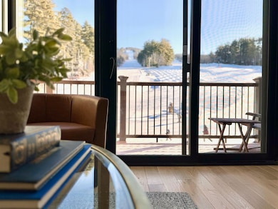 239 Skimobile Rd unit 305, Conway, NH 03860 - photo 6