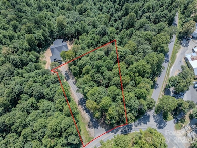 0000 Pinnacle Mountain Rd unit 1, Zirconia, NC 28790 - photo 4