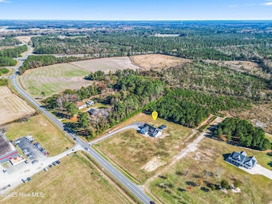 3713 N Carolina 11, Wallace, NC 28466 - photo 3