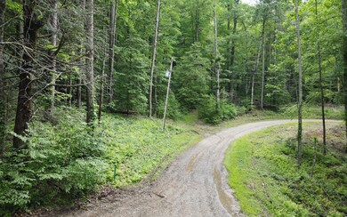 TR 2 Cindy Cove Rd, Blairsville, GA 30511 - photo 4