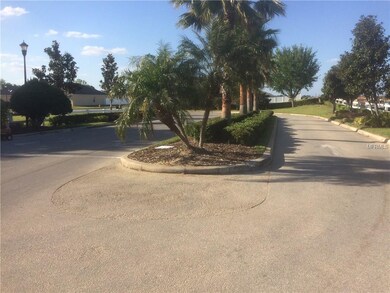 Streets with Palm trees, street lights and sidewal