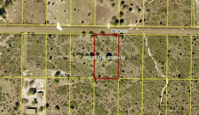 16536 NW 268th St, Okeechobee, FL 34972 - photo 4