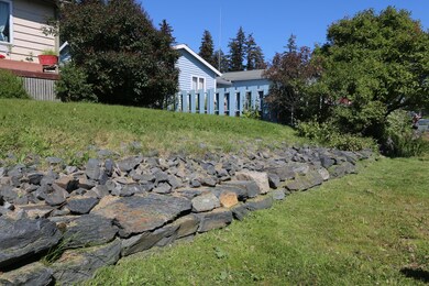 IMG_7351