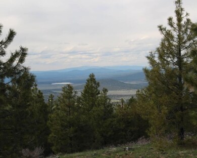 IMG_8858_0