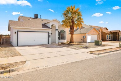 732 Desert Ash-2