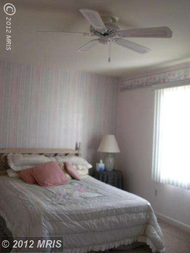 607 Saint Paul Ave, Reisterstown, MD 21136 - photo 6