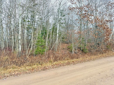 0 Lecoy Rd, Sugar Island Township, MI 49783 - photo 6