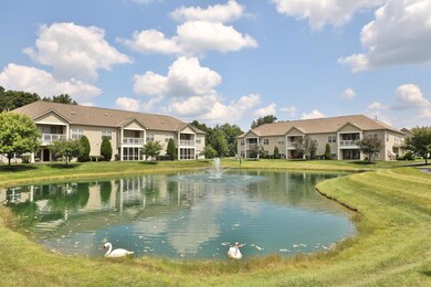 9099-ScenicView-02