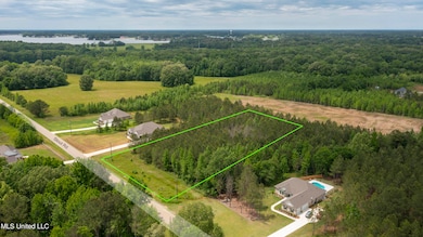 Lot 51-1a
