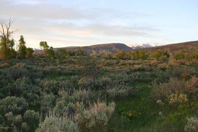 IMG_8557