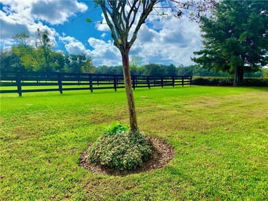 21940 Belgian Ct, Mount Dora, FL 32757 - photo 5