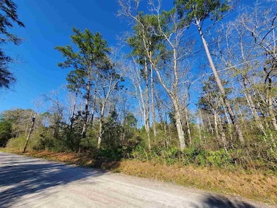 0 Choctaw Rd unit 393947, Crawfordville, FL 32327 - photo 4