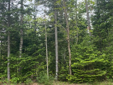 image00003
