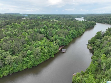 Lot 15 Crystal Cove, Wedowee, AL 36278 - photo 3