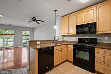11900 Little Seneca Pkwy unit 2411, Clarksburg, MD 20871 - photo 7