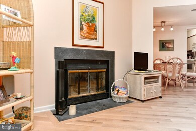 20332 State Rd unit 7, Rehoboth Beach, DE 19971 - photo 4