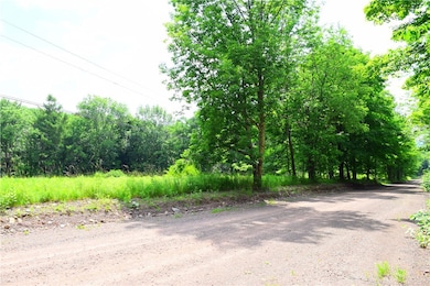 0 Campbell Rd, Franklin, NY 13775 - photo 6