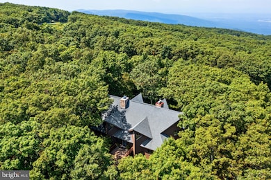 967 Devils Knob Loop, Wintergreen Resort, VA 22967 - photo 5