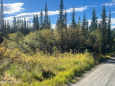 L 7&8 B9 Kenny Lake Village, Chitina, AK 99573 - photo 3