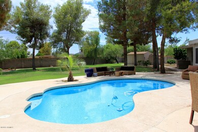 Backyard / Pool