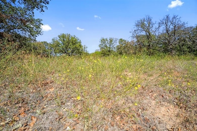 8506 Lavender Rd, Springtown, TX 76082 - photo 7