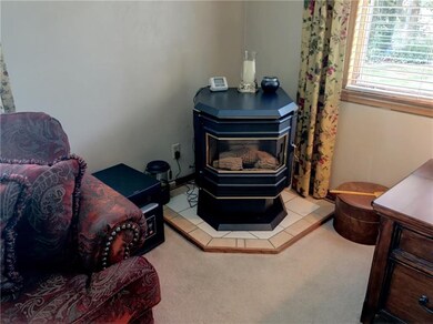 Pellet Stove