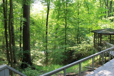 view from back deck