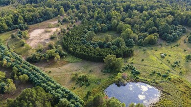 DJI_0561-r