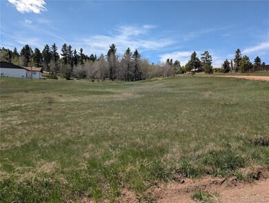Lot83 + 84 Fountain Dale Ln, Divide, CO 80814 - photo 4
