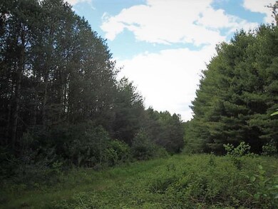 61 acres Hwy 86, Tomahawk, Wi, WI 54487 - photo 7