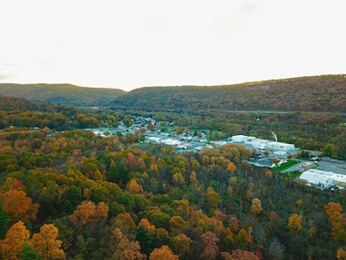 0 E Pleasant Valley Blvd unit LotWP001 19615403, Tyrone, PA 16686 - photo 5