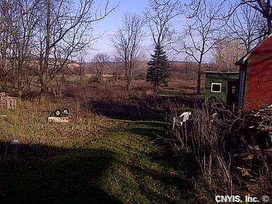 Yard/Garden