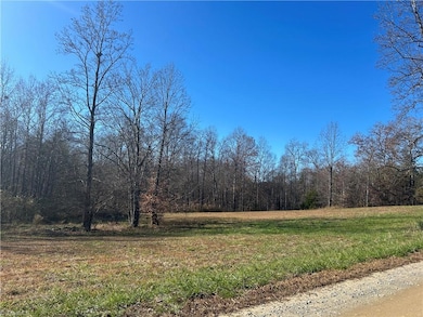 0 Buckskin Trail unit 1202986, Boonville, NC 27011 - photo 3