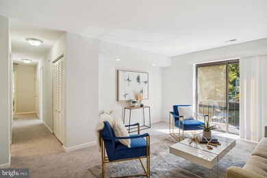 609 Hudson Ave unit 336, Takoma Park, MD 20912 - photo 7