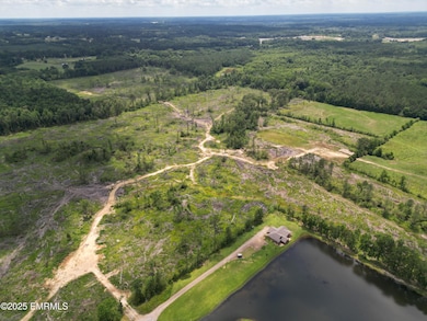 dji_fly_20250610_140504_293_174966025003