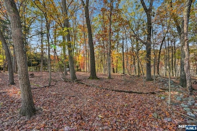 212 Seminole Ln, Franklin Lakes, NJ 07417 - photo 3