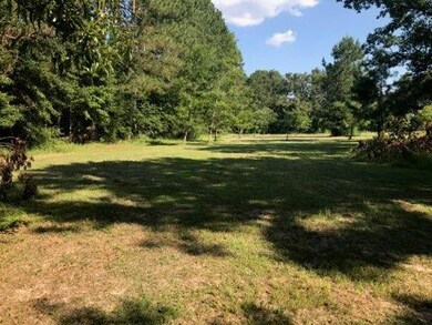 5515 Dixie Rd, Dixie, GA 31629 - photo 4