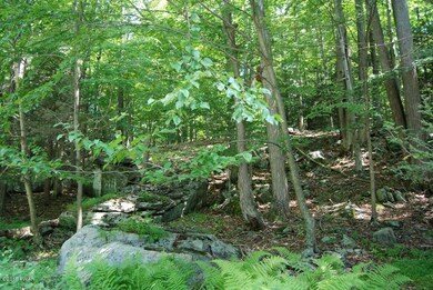 4 Sundew Rd, Roaring Brook Township, PA 18436 - photo 5