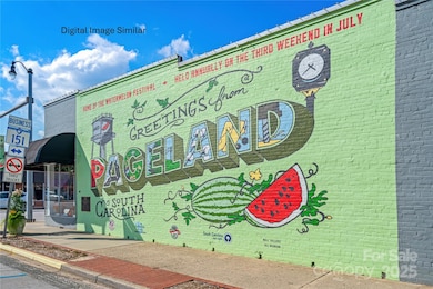 457 Yellow Belle Dr unit 2006B, Pageland, SC 29728 - photo 7