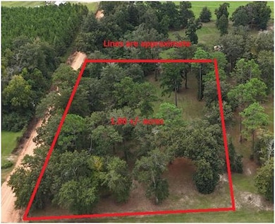 0 Ed Tolar Rd, Pansey, AL 36370 - photo 3