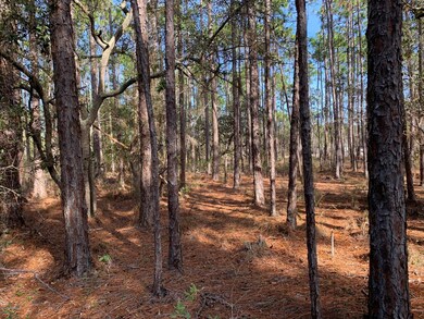 284 N High Point Rd