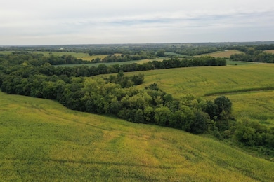 28664 E 110th St, Blythedale, MO 64426 - photo 5