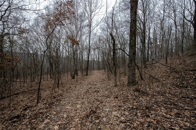 TBD S Hwy 71, Winslow, AR 72959 - photo 5