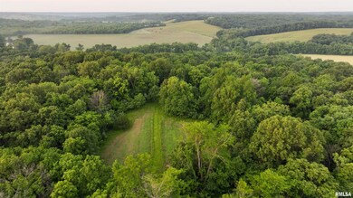 000 N Tarters Ferry Ln, Smithfield, IL 61477 - photo 3