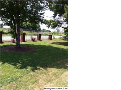 Look at the back yard.