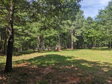 000 Water View Dr, Lincolnton, GA 30817 - photo 2