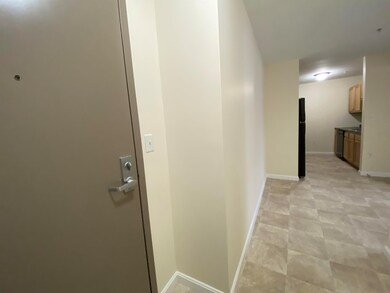 10 Sentinel Ct unit 106, Manchester, NH 03103 - photo 7