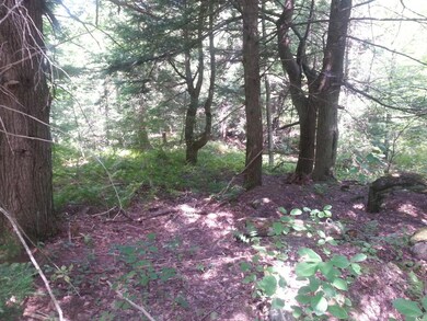 0 Old Rindge Rd unit 4512289, Fitzwilliam, NH 03447 - photo 3